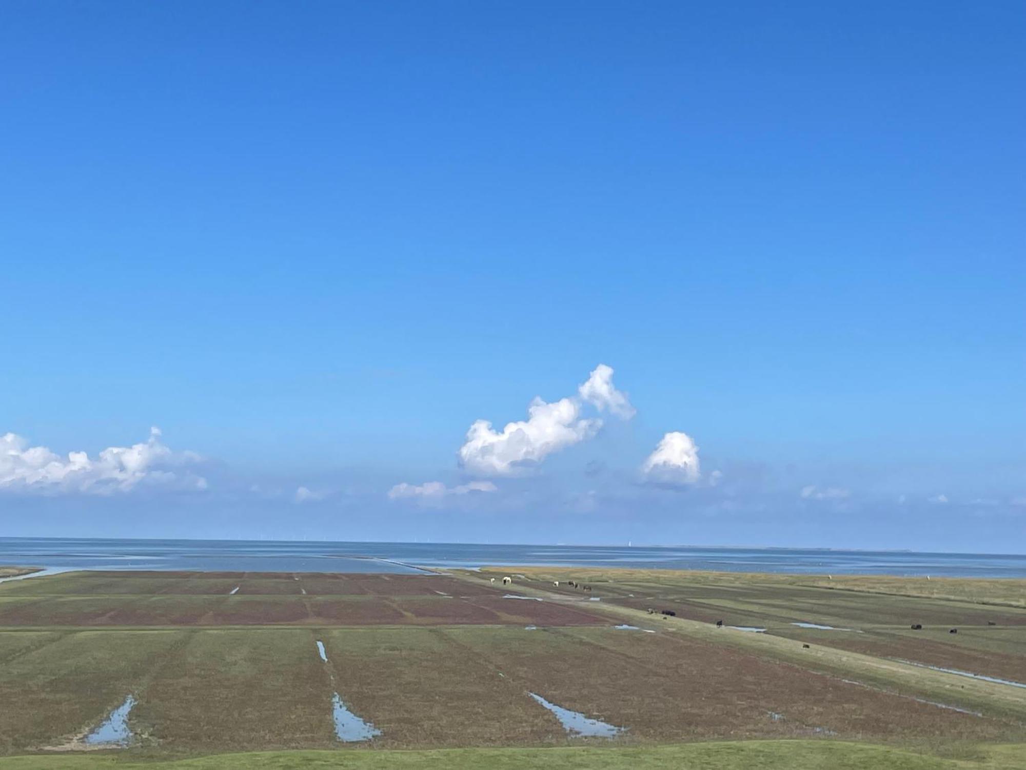De Oude Smidse Hotell Westernieland Exteriör bild